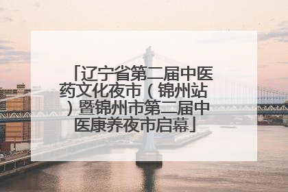 辽宁省第二届中医药文化夜市（锦州站）暨锦州市第二届中医康养夜市启幕