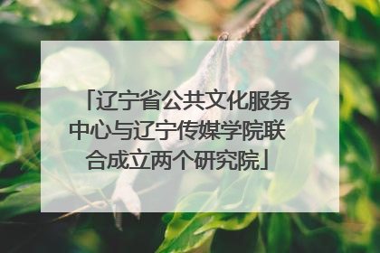 辽宁省公共文化服务中心与辽宁传媒学院联合成立两个研究院