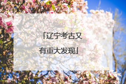 辽宁考古又有重大发现