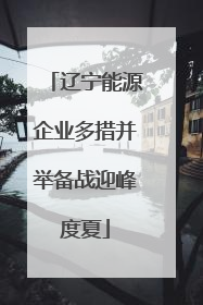 辽宁能源企业多措并举备战迎峰度夏