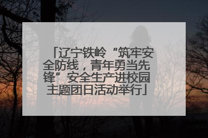 辽宁铁岭“筑牢安全防线，青年勇当先锋”安全生产进校园主题团日活动举行