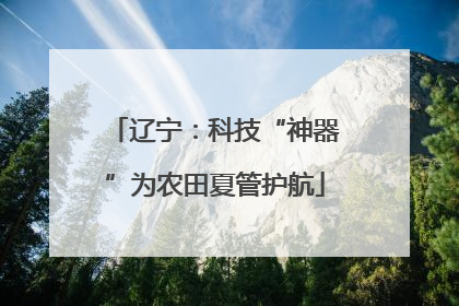 辽宁：科技“神器”为农田夏管护航