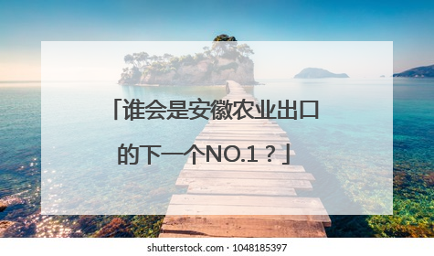 谁会是安徽农业出口的下一个NO.1？