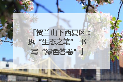 贺兰山下西夏区：执“生态之笔” 书写“绿色答卷”