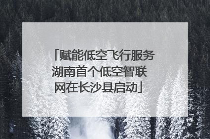 赋能低空飞行服务 湖南首个低空智联网在长沙县启动