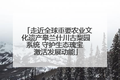 走近全球重要农业文化遗产皋兰什川古梨园系统 守护生态瑰宝 激活发展动能