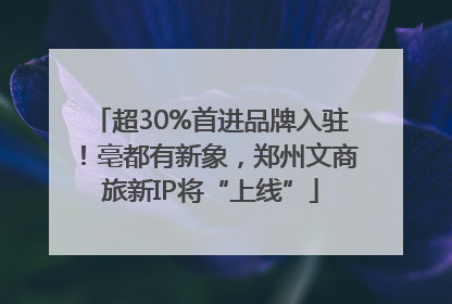 超30%首进品牌入驻！亳都有新象，郑州文商旅新IP将“上线”