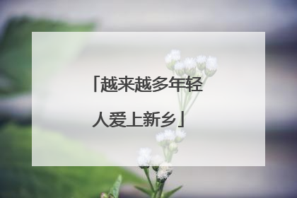 越来越多年轻人爱上新乡