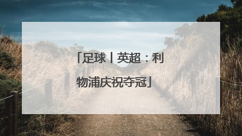 足球丨英超：利物浦庆祝夺冠
