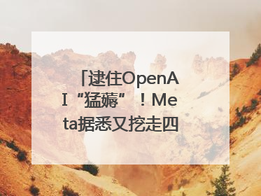 逮住OpenAI“猛薅”！Meta据悉又挖走四位知名研究人员