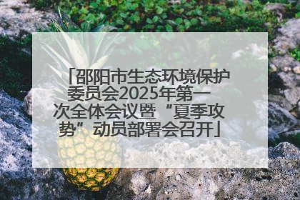 邵阳市生态环境保护委员会2025年第一次全体会议暨“夏季攻势”动员部署会召开
