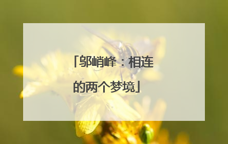 邬峭峰：相连的两个梦境