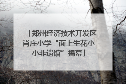 郑州经济技术开发区肖庄小学“面上生花小小非遗馆”揭幕