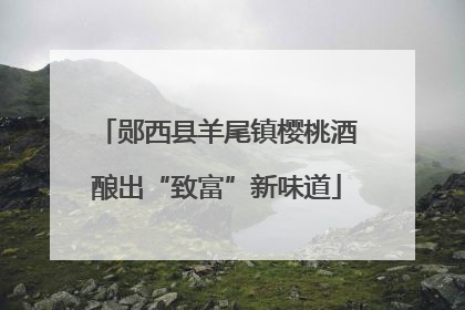 郧西县羊尾镇樱桃酒酿出“致富”新味道