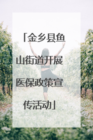 金乡县鱼山街道开展医保政策宣传活动