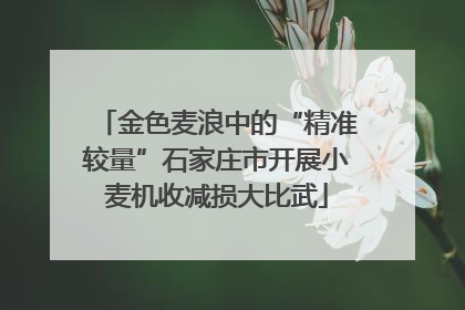 金色麦浪中的“精准较量”石家庄市开展小麦机收减损大比武