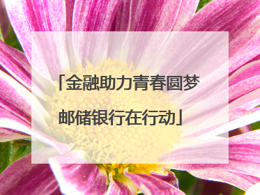 金融助力青春圆梦邮储银行在行动