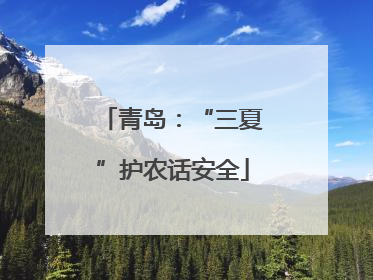 青岛：“三夏”护农话安全