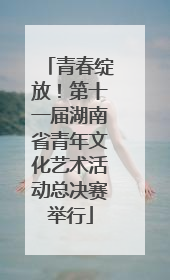 青春绽放！第十一届湖南省青年文化艺术活动总决赛举行