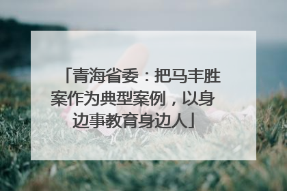 青海省委：把马丰胜案作为典型案例，以身边事教育身边人