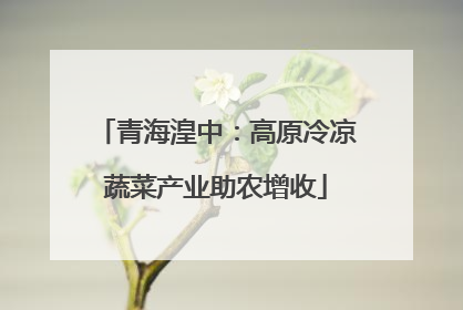 青海湟中：高原冷凉蔬菜产业助农增收
