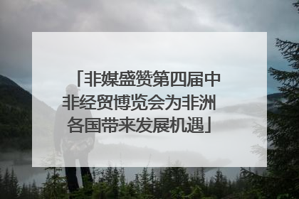 非媒盛赞第四届中非经贸博览会为非洲各国带来发展机遇