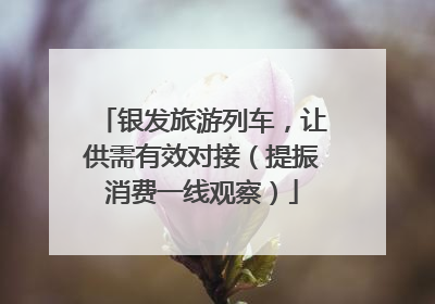 银发旅游列车，让供需有效对接（提振消费一线观察）