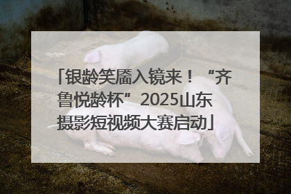 银龄笑靥入镜来！“齐鲁悦龄杯”2025山东摄影短视频大赛启动