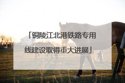 铜陵江北港铁路专用线建设取得重大进展