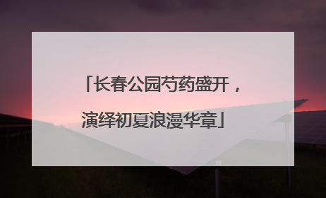 长春公园芍药盛开，演绎初夏浪漫华章