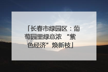 长春市绿园区：葡萄园里绿意浓 “紫色经济”焕新枝