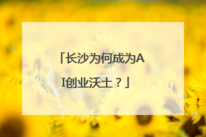 长沙为何成为AI创业沃土？