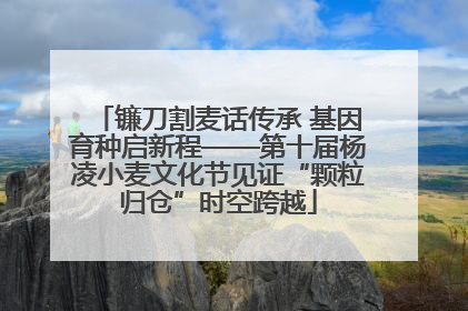 镰刀割麦话传承 基因育种启新程——第十届杨凌小麦文化节见证“颗粒归仓”时空跨越