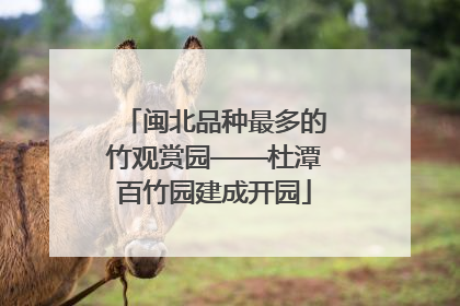 闽北品种最多的竹观赏园——杜潭百竹园建成开园
