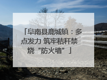 阜南县鹿城镇：多点发力 筑牢秸秆禁烧“防火墙”
