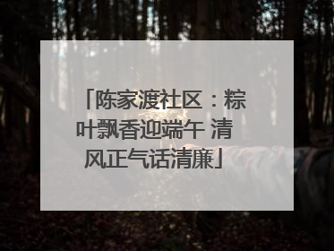 陈家渡社区：粽叶飘香迎端午 清风正气话清廉