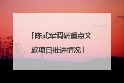 陈武军调研重点文旅项目推进情况