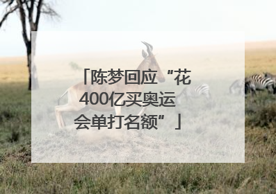 陈梦回应“花400亿买奥运会单打名额”