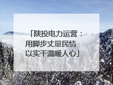 陕投电力运营：用脚步丈量民情 以实干温暖人心