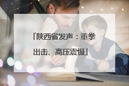 陕西省发声：重拳出击、高压震慑