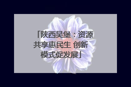 陕西吴堡：资源共享惠民生 创新模式促发展