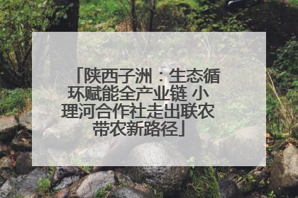 陕西子洲：生态循环赋能全产业链 小理河合作社走出联农带农新路径