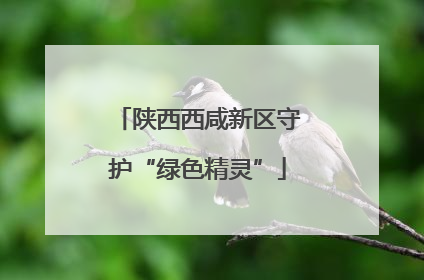 陕西西咸新区守护“绿色精灵”