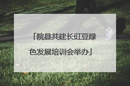 院县共建长豇豆绿色发展培训会举办