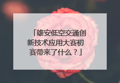 雄安低空交通创新技术应用大赛初赛带来了什么？