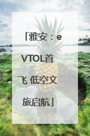 雅安：eVTOL首飞 低空文旅启航