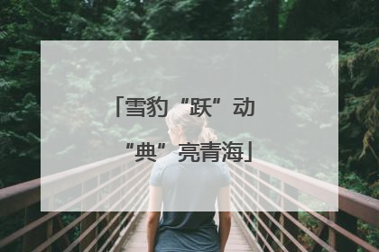 雪豹“跃”动 “典”亮青海