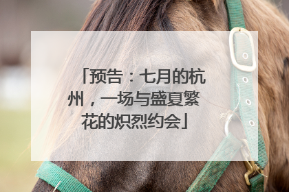 预告：七月的杭州，一场与盛夏繁花的炽烈约会