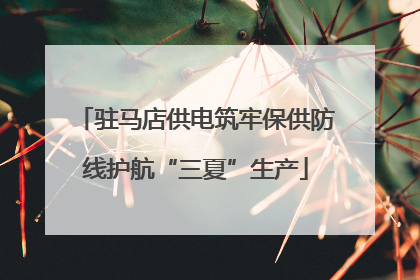驻马店供电筑牢保供防线护航“三夏”生产