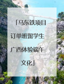 马东铁项目订单班留学生广西体验端午文化